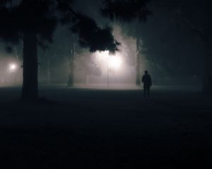Preview wallpaper silhouette, alone, night, fog, light