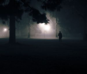 Preview wallpaper silhouette, alone, night, fog, light