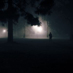 Preview wallpaper silhouette, alone, night, fog, light