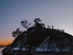 Preview wallpaper silhouette, alone, night, dark