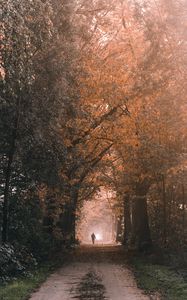 Preview wallpaper silhouette, alone, path, trees, nature