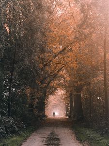 Preview wallpaper silhouette, alone, path, trees, nature