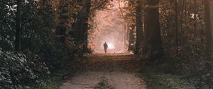 Preview wallpaper silhouette, alone, path, trees, nature