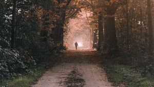 Preview wallpaper silhouette, alone, path, trees, nature