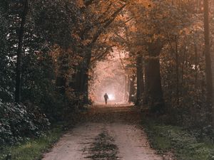 Preview wallpaper silhouette, alone, path, trees, nature