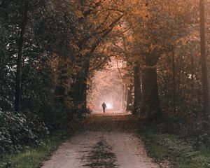 Preview wallpaper silhouette, alone, path, trees, nature