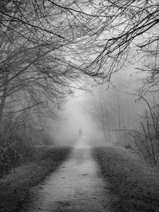 Preview wallpaper silhouette, alone, path, fog, black and white