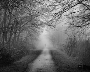 Preview wallpaper silhouette, alone, path, fog, black and white