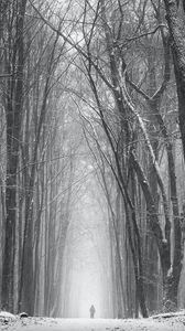Preview wallpaper silhouette, alone, snow, blizzard, trees