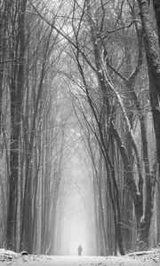 Preview wallpaper silhouette, alone, snow, blizzard, trees