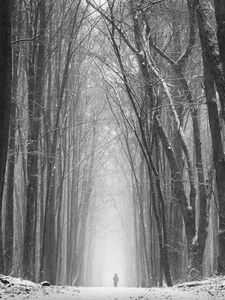 Preview wallpaper silhouette, alone, snow, blizzard, trees