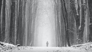 Preview wallpaper silhouette, alone, snow, blizzard, trees