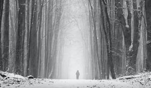 Preview wallpaper silhouette, alone, snow, blizzard, trees