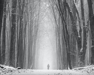 Preview wallpaper silhouette, alone, snow, blizzard, trees