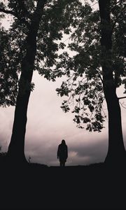 Preview wallpaper silhouette, alone, trees, dark