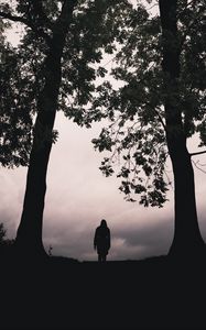 Preview wallpaper silhouette, alone, trees, dark