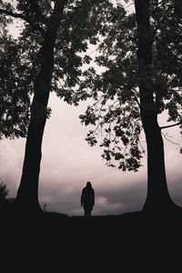 Preview wallpaper silhouette, alone, trees, dark