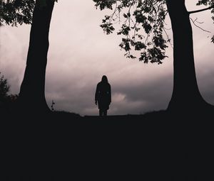 Preview wallpaper silhouette, alone, trees, dark