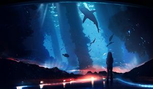 Preview wallpaper silhouette, aquarium, fish, dark, backlight