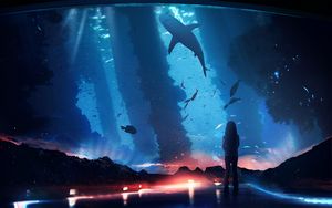 Preview wallpaper silhouette, aquarium, fish, dark, backlight