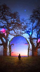 Preview wallpaper silhouette, arch, starry sky, photoshop, fabulous, fantastic