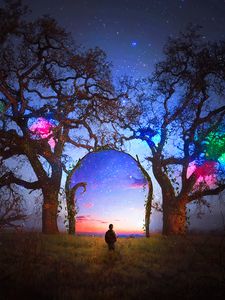 Preview wallpaper silhouette, arch, starry sky, photoshop, fabulous, fantastic