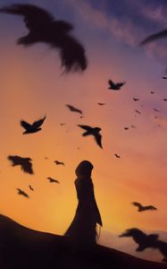 Preview wallpaper silhouette, birds, dusk, art