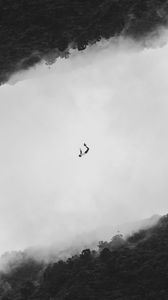 Preview wallpaper silhouette, bw, flight, jump, forest, minimalism