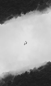 Preview wallpaper silhouette, bw, flight, jump, forest, minimalism