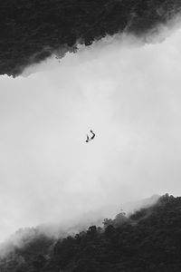 Preview wallpaper silhouette, bw, flight, jump, forest, minimalism