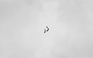 Preview wallpaper silhouette, bw, flight, jump, forest, minimalism