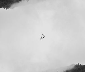 Preview wallpaper silhouette, bw, flight, jump, forest, minimalism