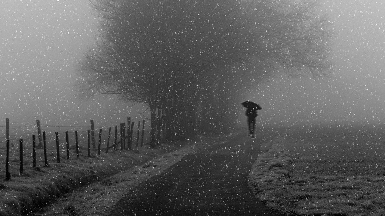 Wallpaper silhouette, bw, snowfall, tree, umbrella, path