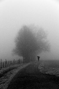 Preview wallpaper silhouette, bw, snowfall, tree, umbrella, path