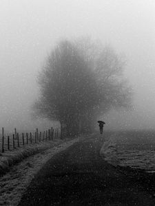 Preview wallpaper silhouette, bw, snowfall, tree, umbrella, path