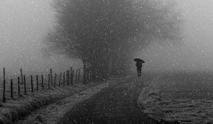 Preview wallpaper silhouette, bw, snowfall, tree, umbrella, path