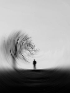 Preview wallpaper silhouette, bw, tree, blur, effect