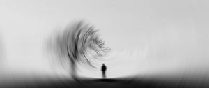 Preview wallpaper silhouette, bw, tree, blur, effect