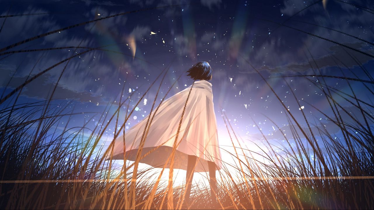 Wallpaper silhouette, cloak, alone, field, star, anime, art