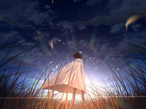 Preview wallpaper silhouette, cloak, alone, field, star, anime, art