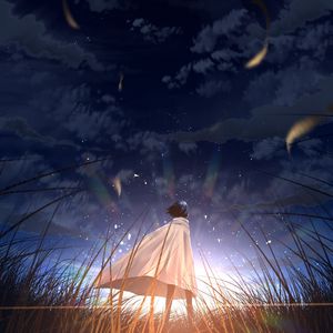 Preview wallpaper silhouette, cloak, alone, field, star, anime, art