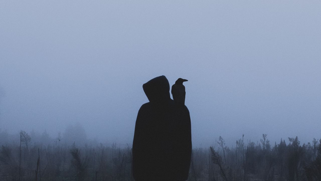 Wallpaper silhouette, crow, hood, loneliness, fog