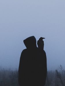 Preview wallpaper silhouette, crow, hood, loneliness, fog