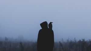 Preview wallpaper silhouette, crow, hood, loneliness, fog