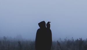 Preview wallpaper silhouette, crow, hood, loneliness, fog