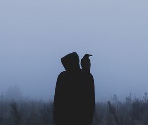 Preview wallpaper silhouette, crow, hood, loneliness, fog