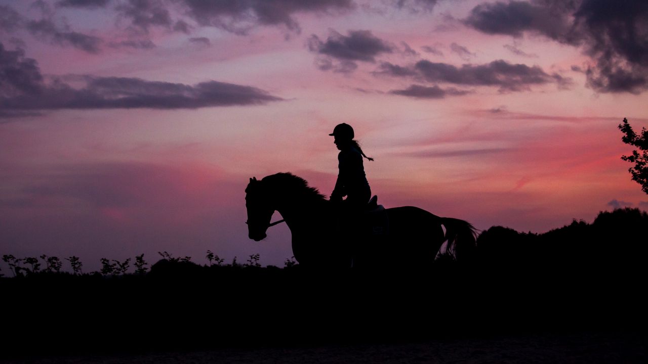 Wallpaper silhouette, dark, jockey, horse, twilight, equestrian, riding