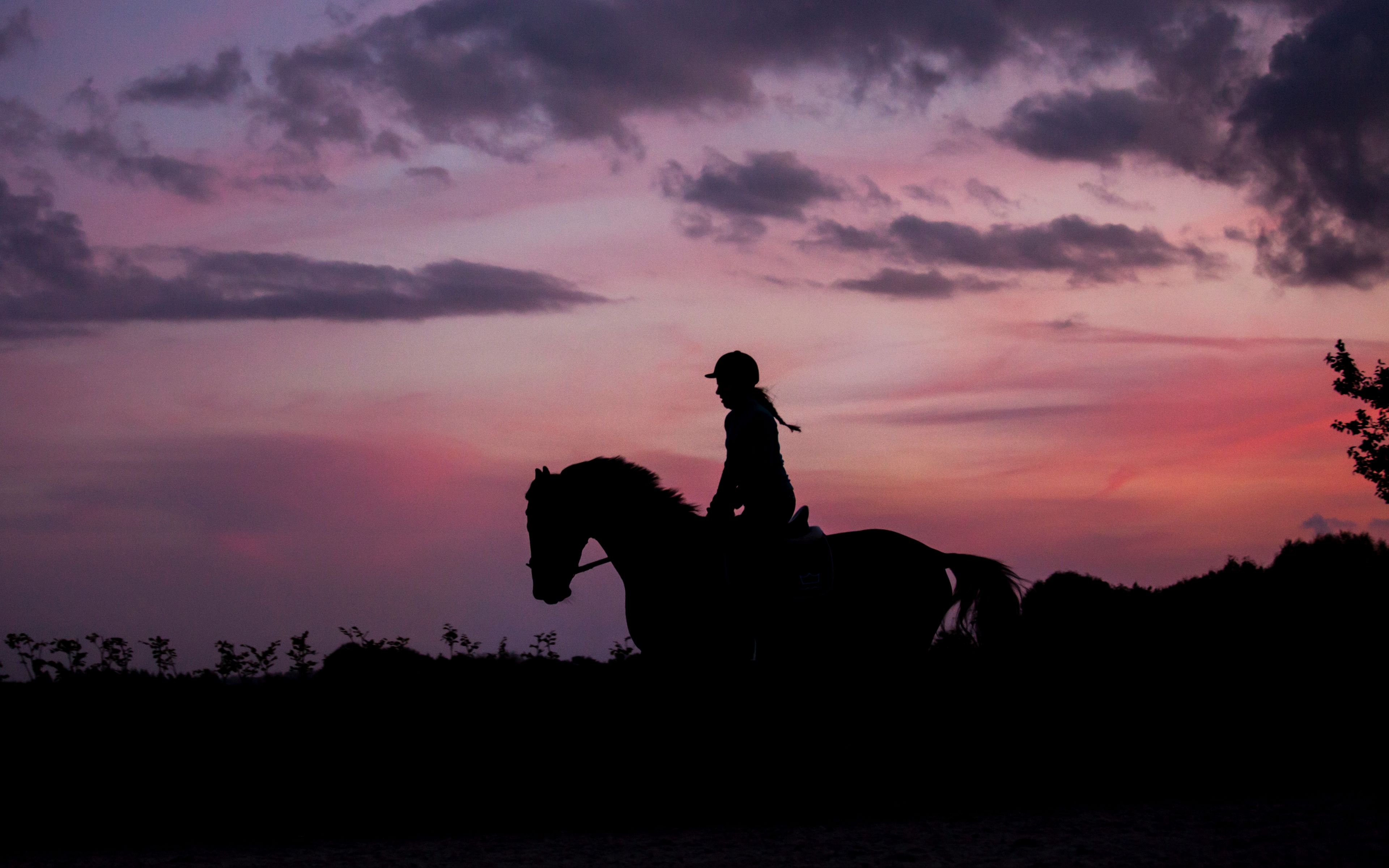 Download wallpaper 3840x2400 silhouette, dark, jockey, horse, twilight