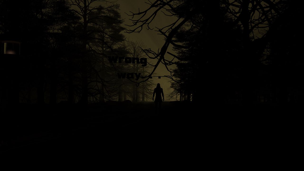 Wallpaper silhouette, dark, night, forest, trees