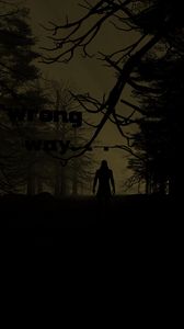 Preview wallpaper silhouette, dark, night, forest, trees